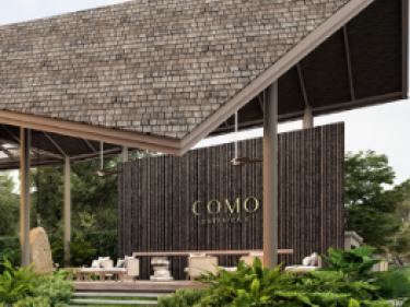 Image of COMO BOTANICA II