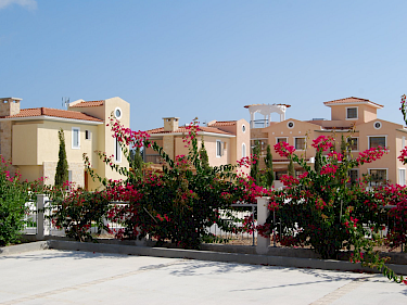 Image of Asimina Park