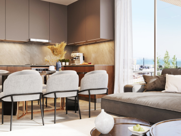 Image of Roy Terraces ( Plus 21)