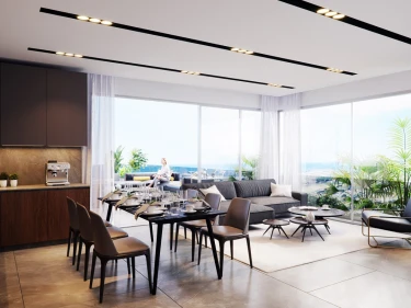 Image of Roy Terraces ( Plus 21)