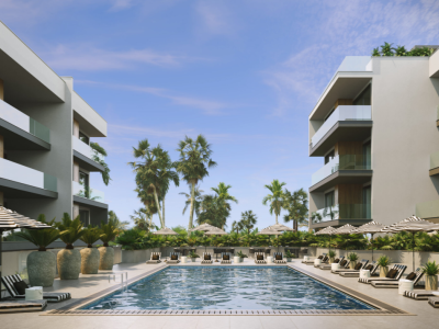 Image of Palma Fiore