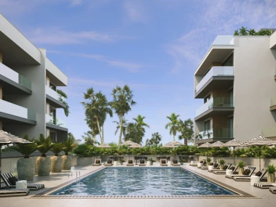 Image of Palma Fiore