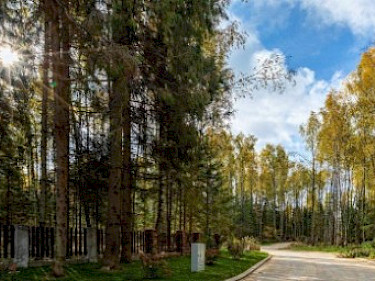 Image of EMERALD VILLAGE