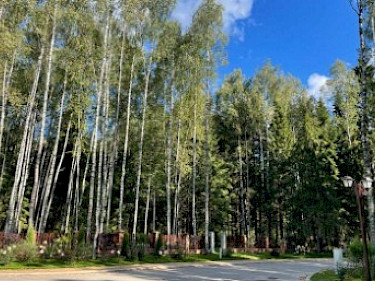 Image of EMERALD VILLAGE