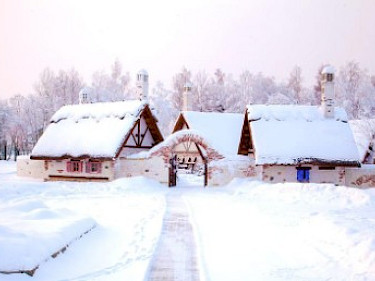 Image of EMERALD VILLAGE