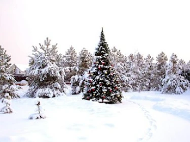 Image of EMERALD VILLAGE