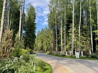 Image of EMERALD VILLAGE