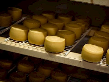 Image of Ruza Family Park