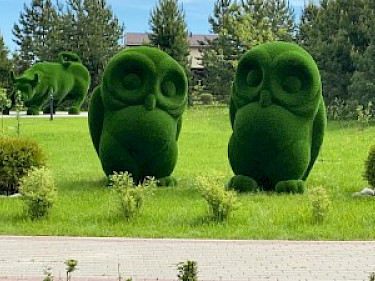 Image of Ruza Family Park