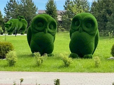 Image of Ruza Family Park