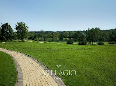 Image of Millennium Park
