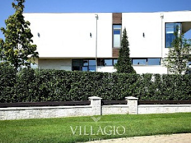 Image of Millennium Park