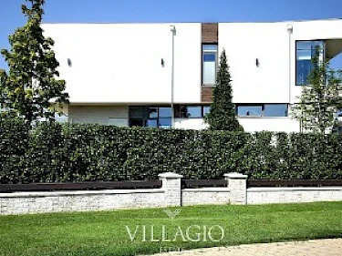 Image of Millennium Park