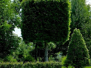 Image of Millennium Park