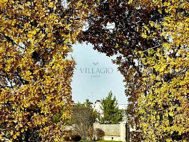 Image of Millennium Park