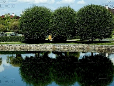 Image of Millennium Park