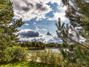 Image of Renessance Park