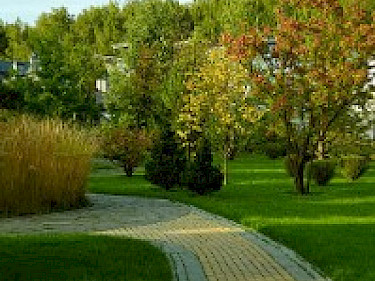 Image of Madison Park