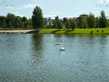 Image of Madison Park