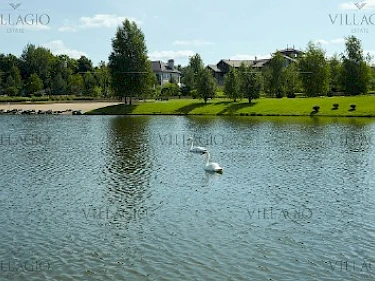 Image of Madison Park