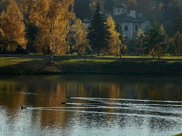 Image of Madison Park