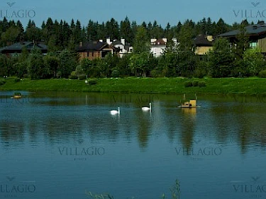 Image of Madison Park