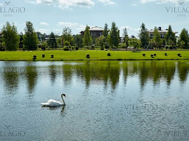 Image of Madison Park