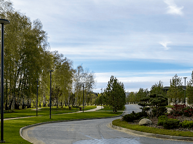 Image of Crystal Istra