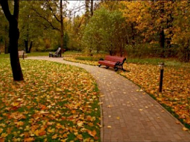 Image of Deauville Cottage Village