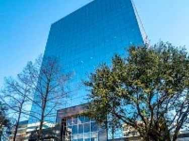 Image of The Douglas