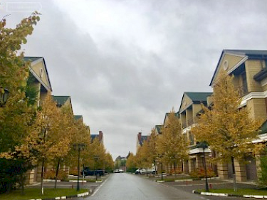 Image of Gorki-8 Cottage Settlement