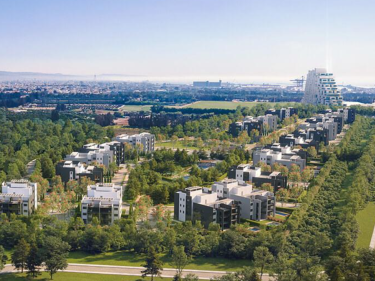 Image of Sunset Gardens