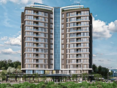 Image of Cuento Elite