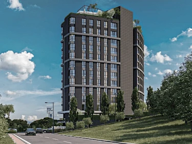 Image of Cuento Elite