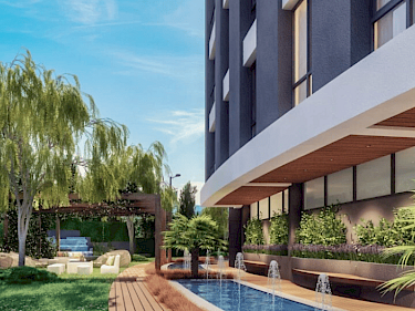 Image of Cuento Elite