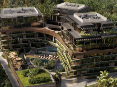 Image of Bamboo Forest