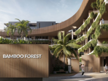 Image of Bamboo Forest