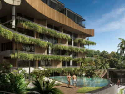 Image of Bamboo Forest