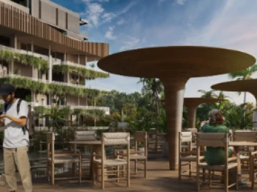 Image of Bamboo Forest