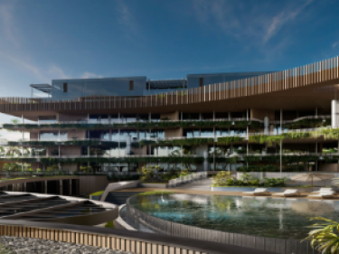 Image of Bamboo Forest