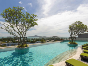 Image of Calypso Garden