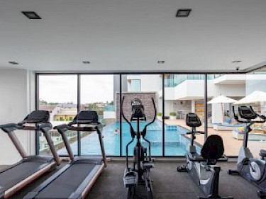 Image of Grand Kata VIP