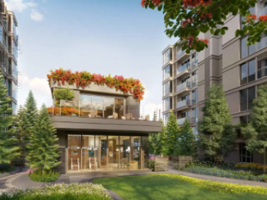 Image of valles HAUS