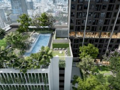 Image of Nue Evo Ari