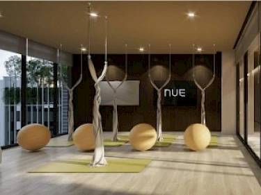 Image of Nue Evo Ari