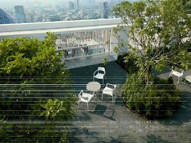 Image of Noble Around Ari