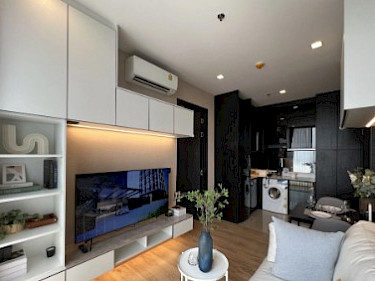 Image of Noble Around Ari