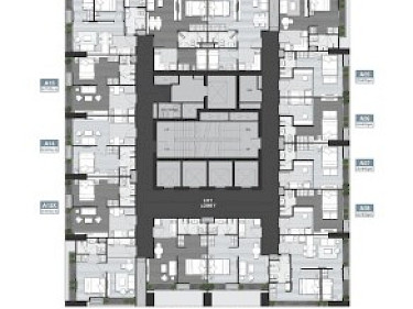 Image of Noble Around Ari