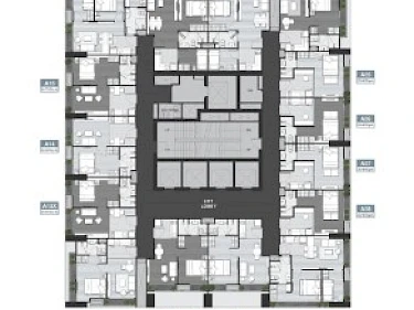 Image of Noble Around Ari