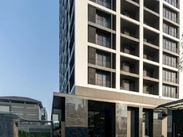 Image of Noble Around Ari